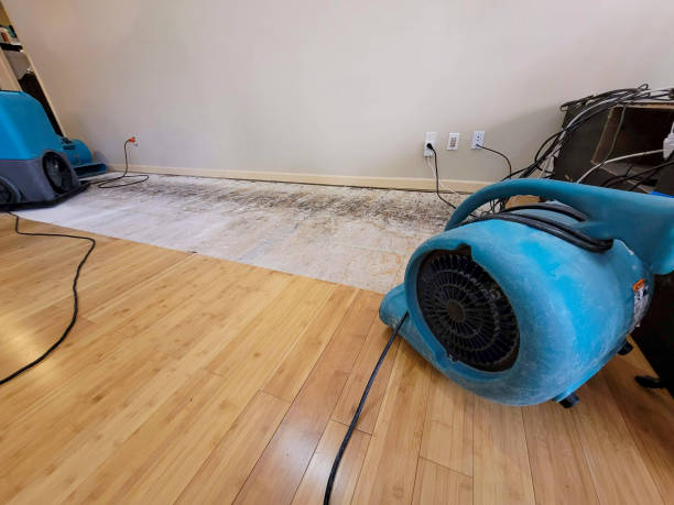 Reliable Burst Pipe Water Damage contractor in Springfield, IL by Hirex Water Damage