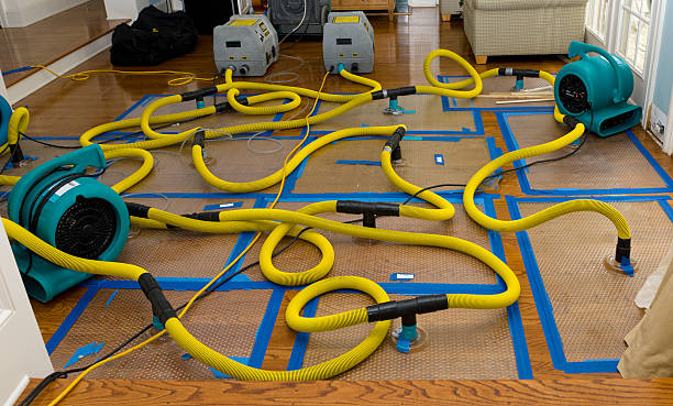 Professional Burst Pipe Water Damage technician working in Springfield, IL